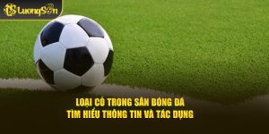 loại cỏ trong sân bóng đá